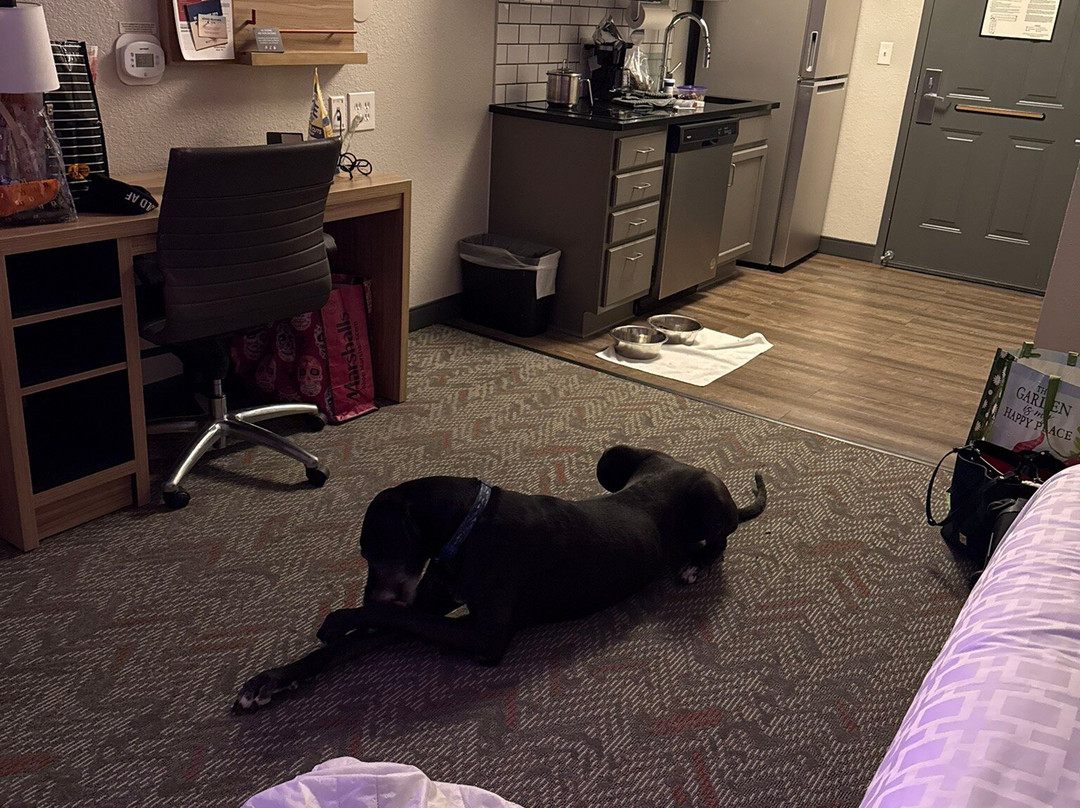 Candlewood Suites Kenosha By IHG主图