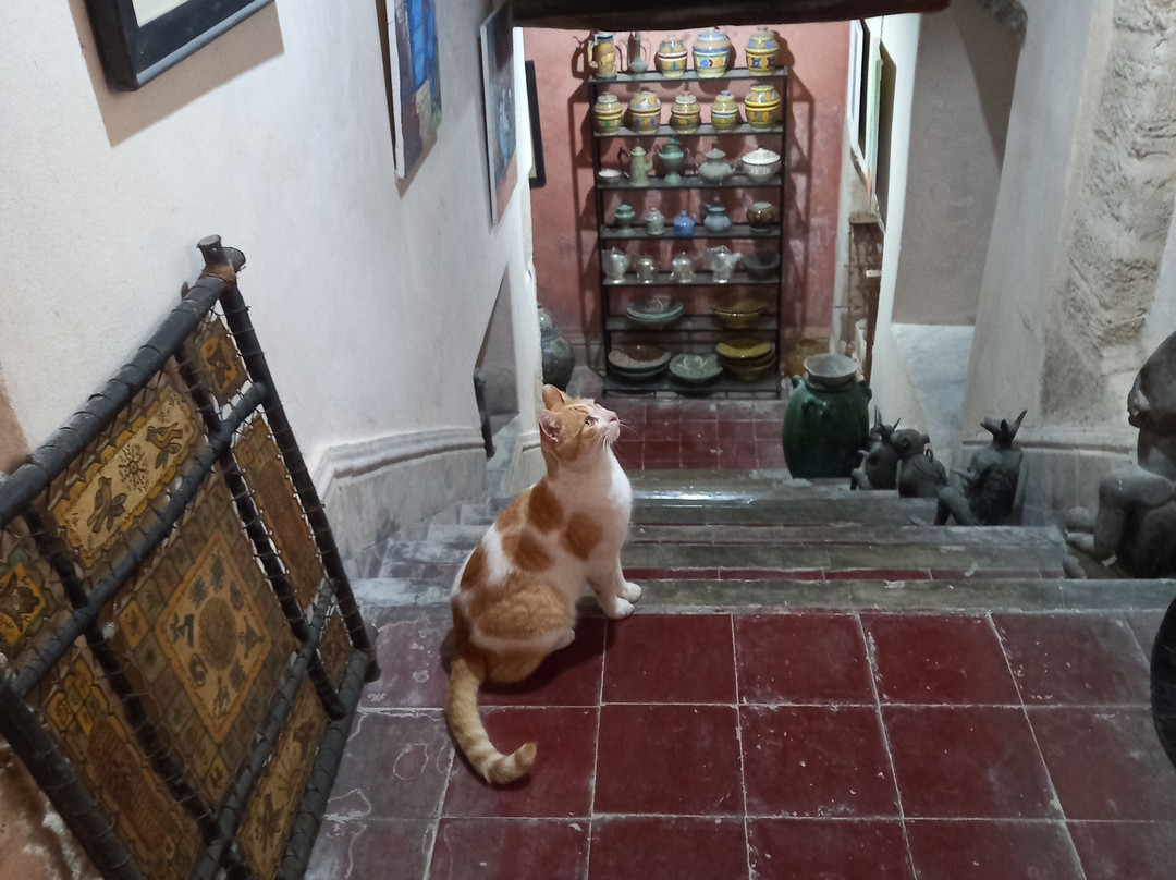 Galerie la Kasbah-索维拉必去景点