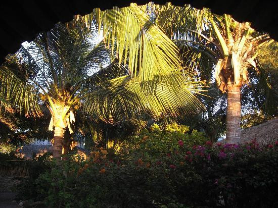 La Rosa de Las Barras主图