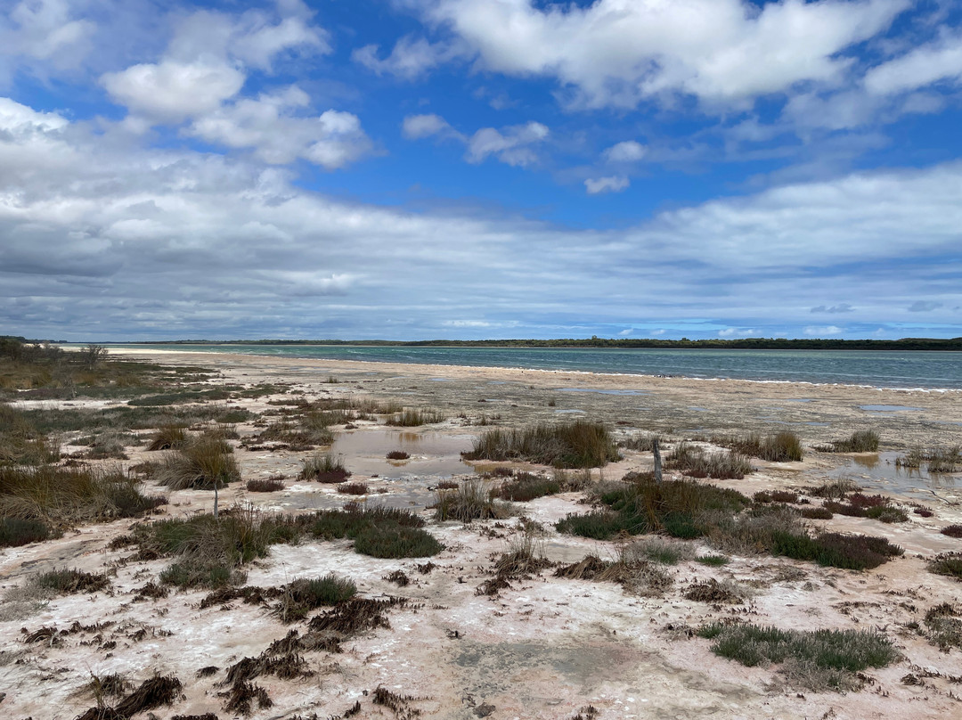Lake Clifton-Yalgorup National Park必去景点