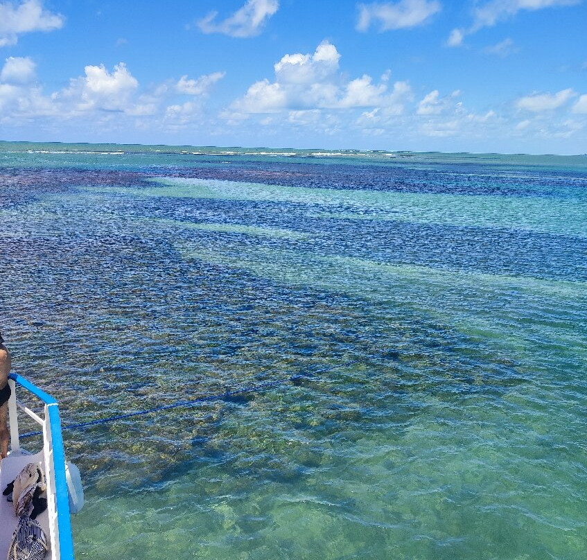 Piscinas Naturais do Seixas景点图片