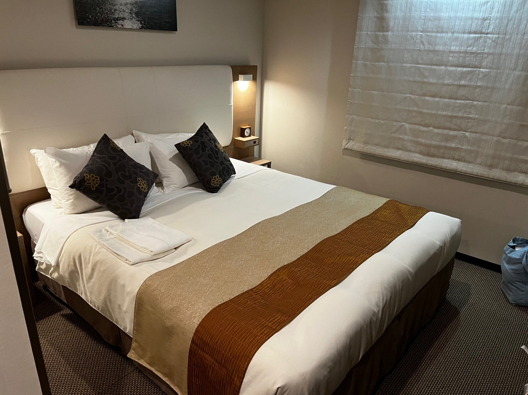 新桥东急STAY酒店主图