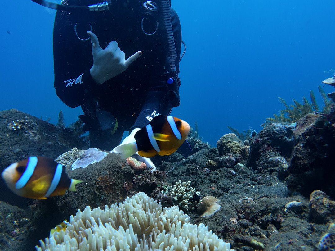 Bali Elite Scuba Team-图兰本必去景点