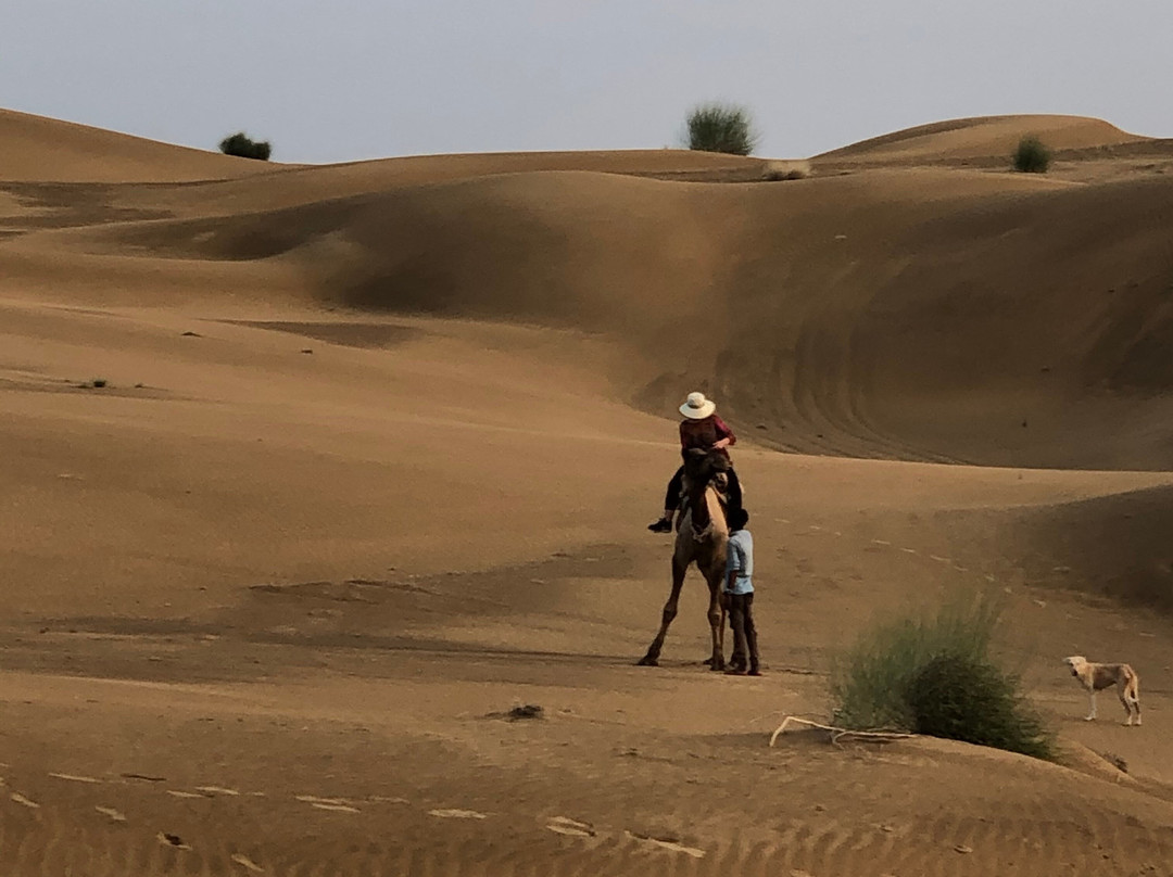 Pol Haveli Desert Safari景点图片