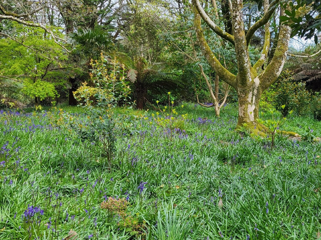 Trewidden Garden-Newlyn必去景点