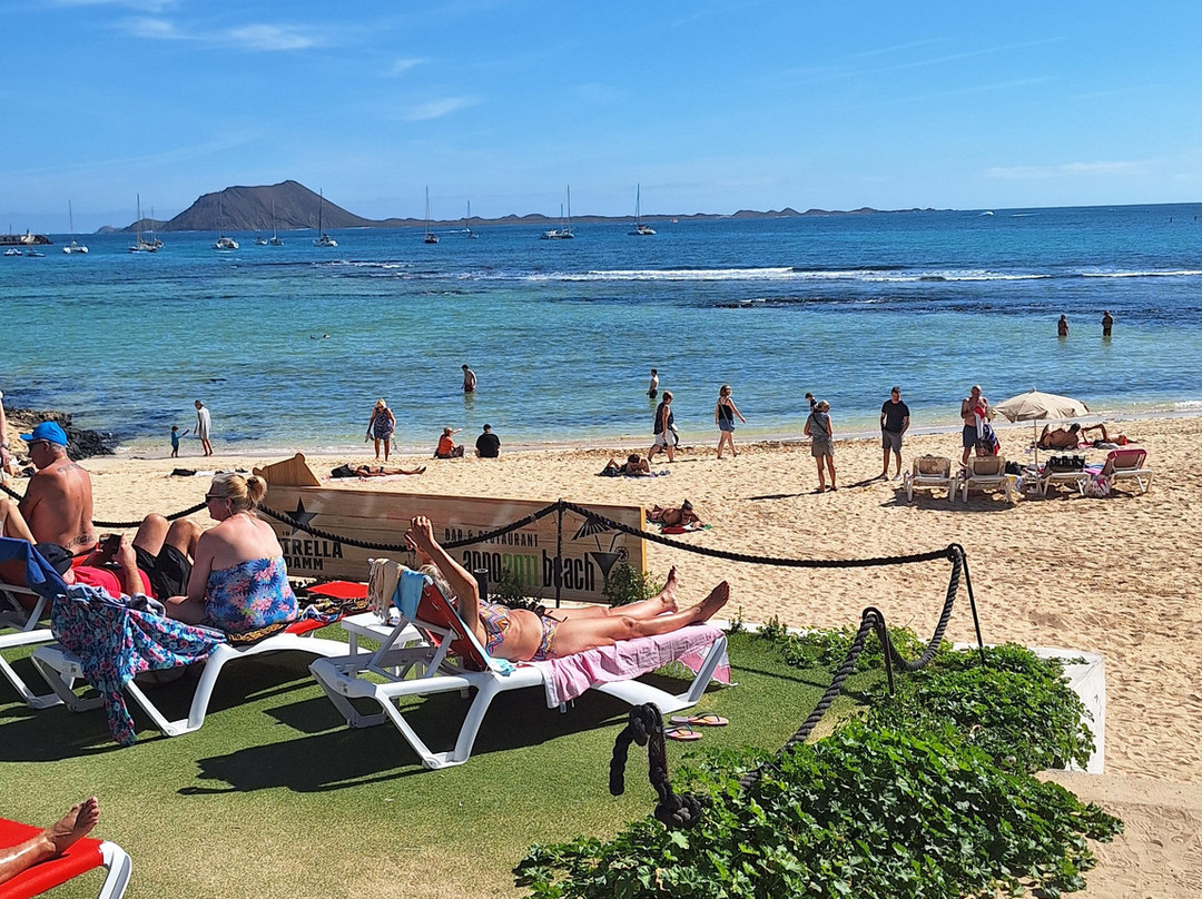 ZIPtransfers-巴塞罗那必去景点