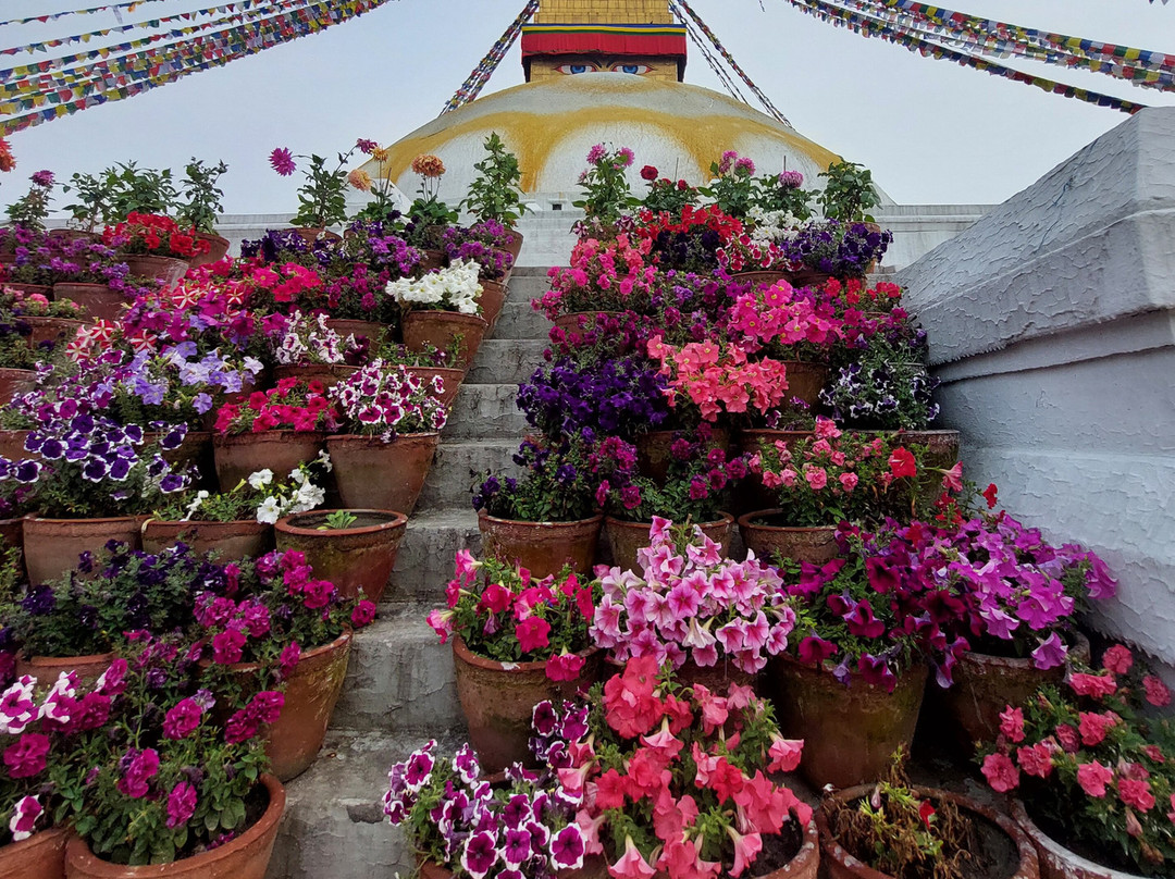 Unique Himalaya Treks And Expeditions景点图片