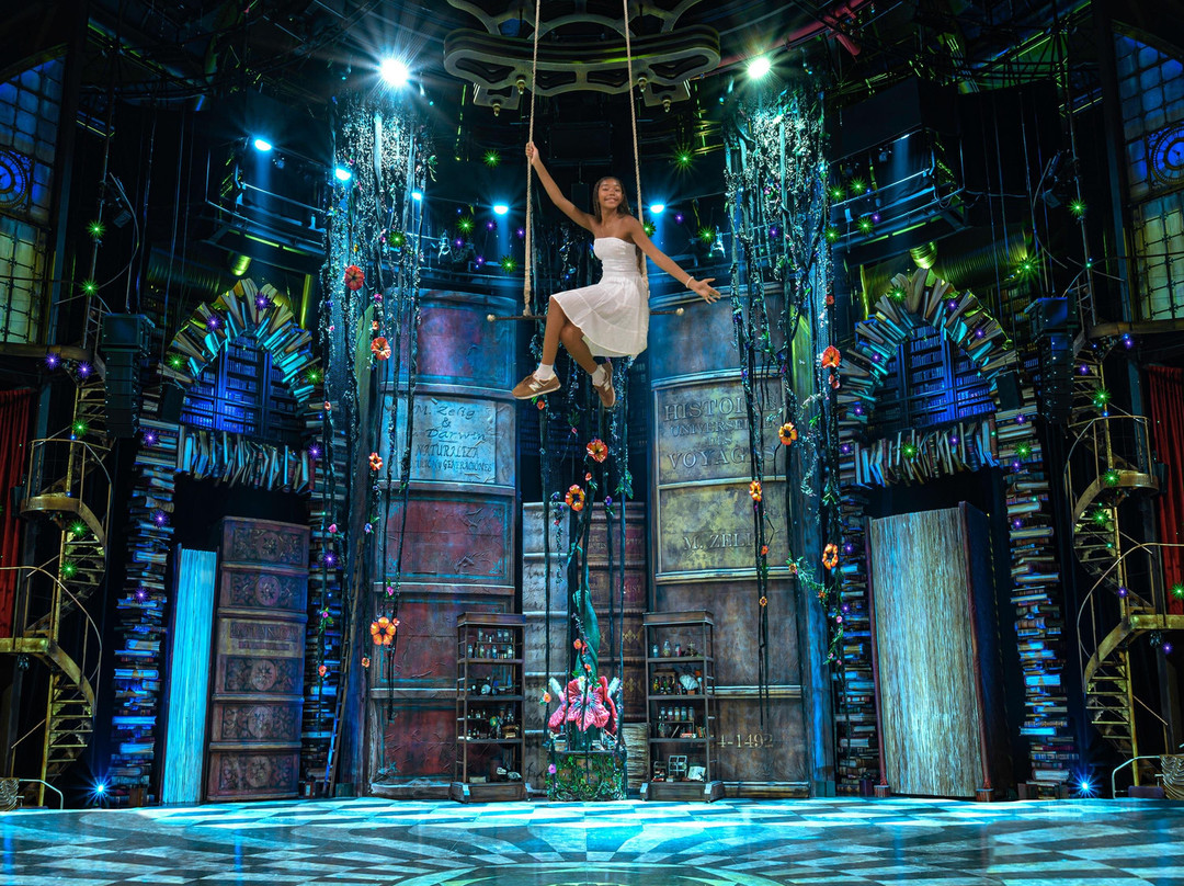 Cirque du Soleil Joyà景点图片