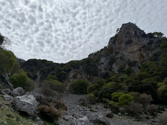 WIldCrete Safari-Limenas Chersonisou必去景点