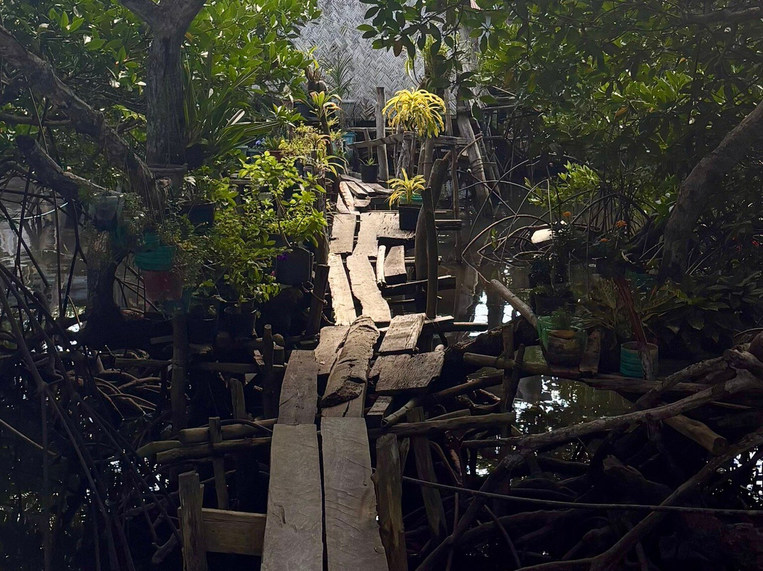 Patuyo Island Experience-Patoyo Island必去景点