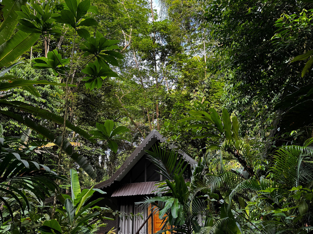 Almonds and Corals Hotel主图