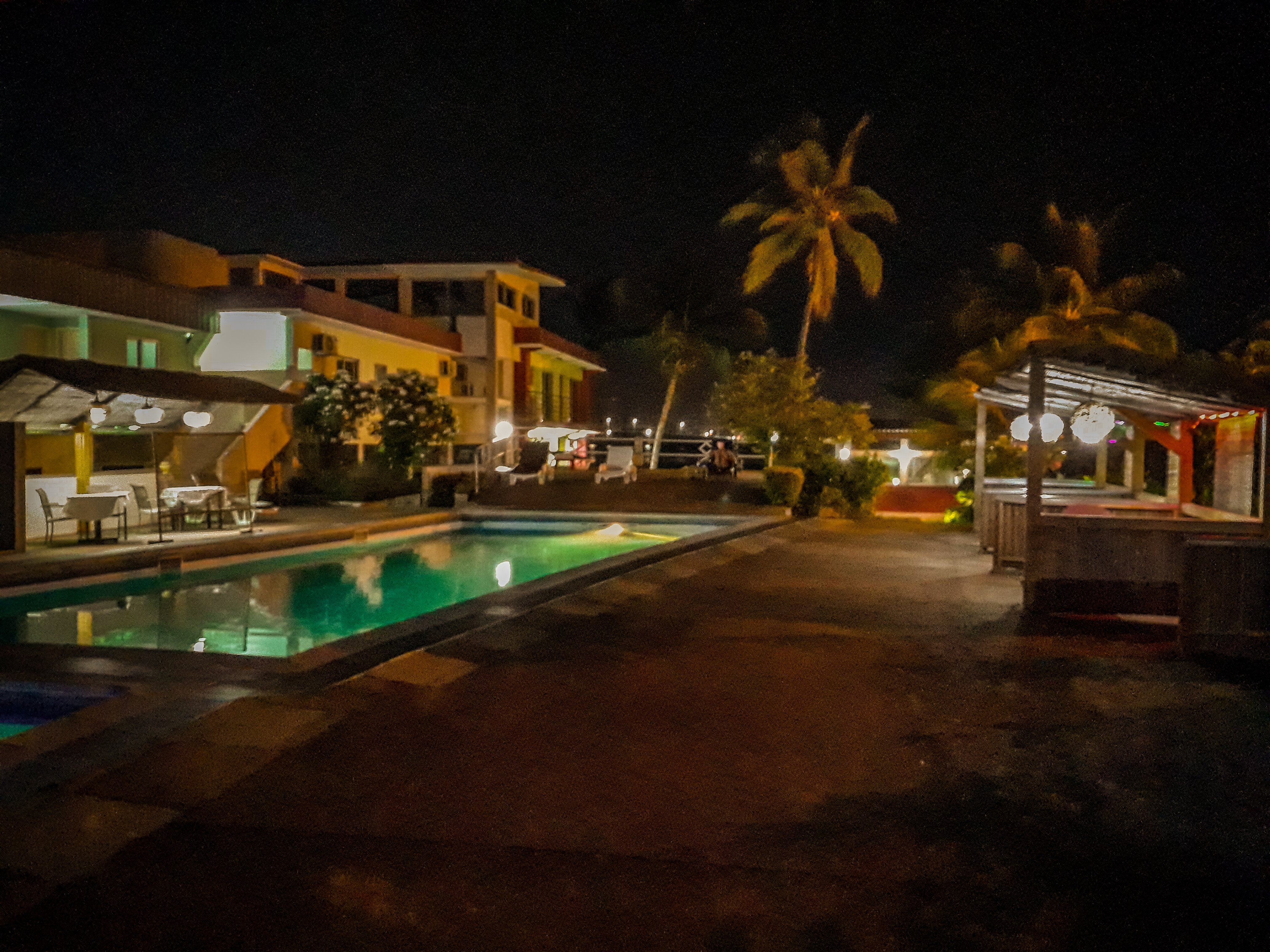 Hotel Le Marly-泳池