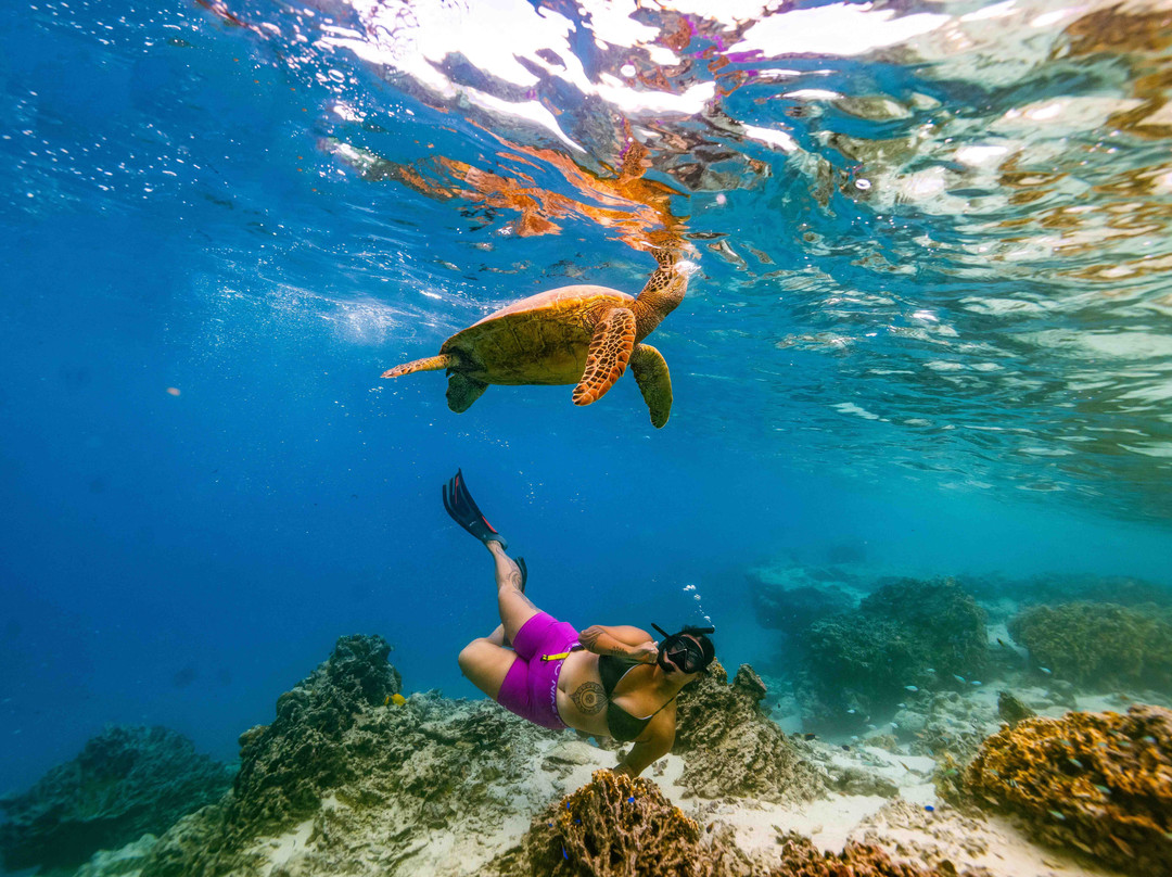 Snorkel Cook Islands-拉罗汤加必去景点