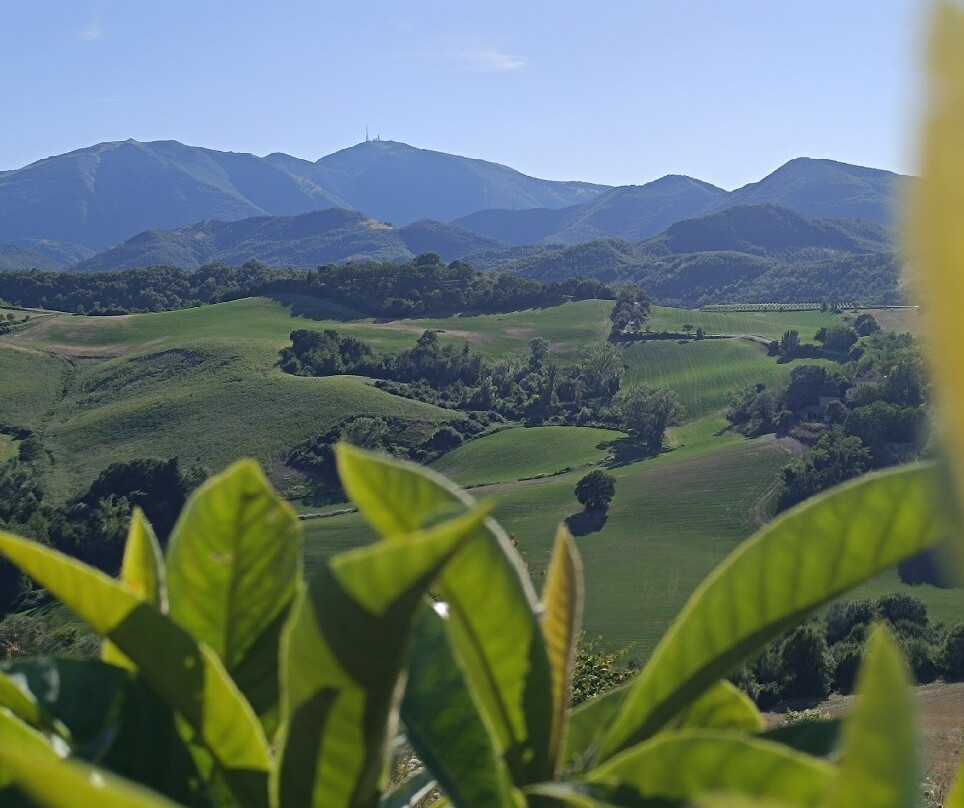 Agriturismo Ca Battista主图