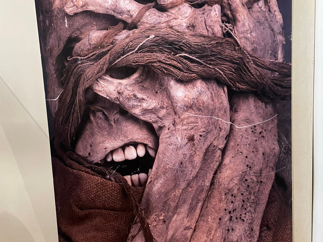 Museo de Leimebamba-Leymebamba必去景点