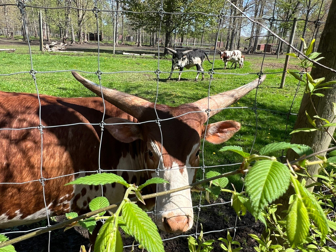 Wilderness Trails Zoo-伯奇伦必去景点