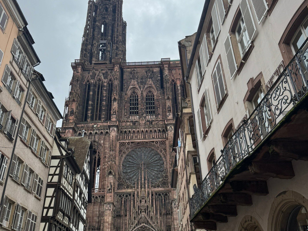 Centre-Ville de Strasbourg-斯特拉斯堡必去景点