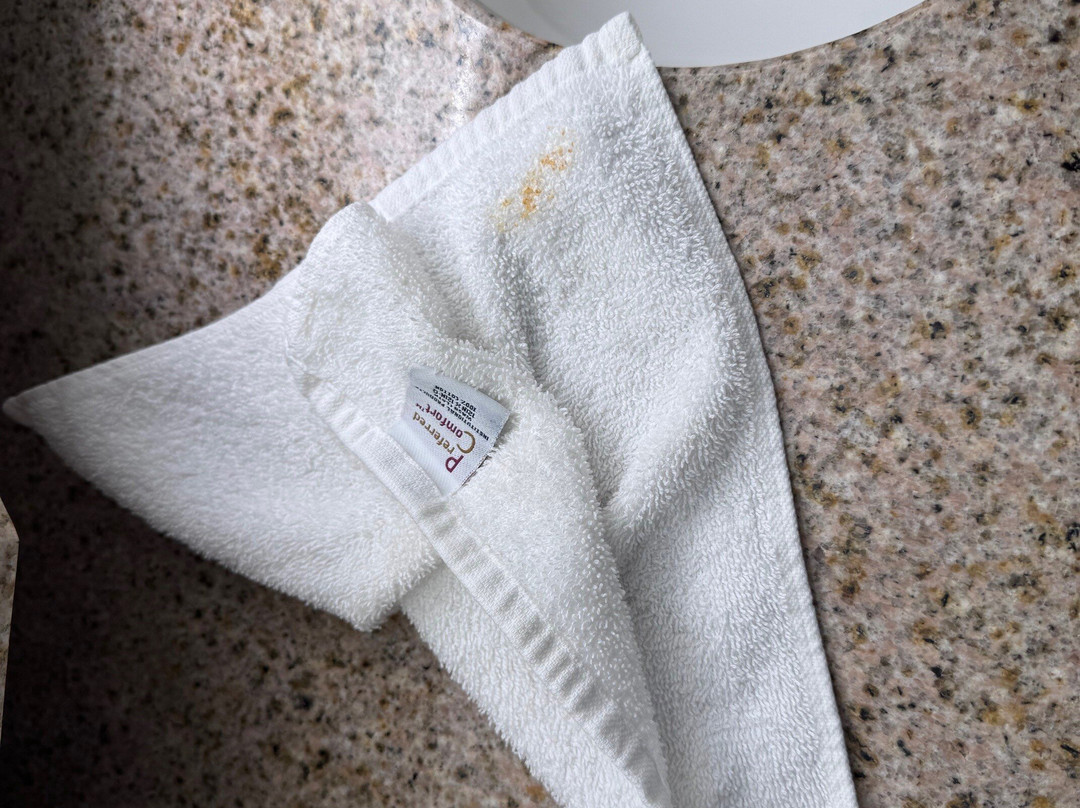 SpringHill Suites by Marriott Jacksonville North I-95 Area主图