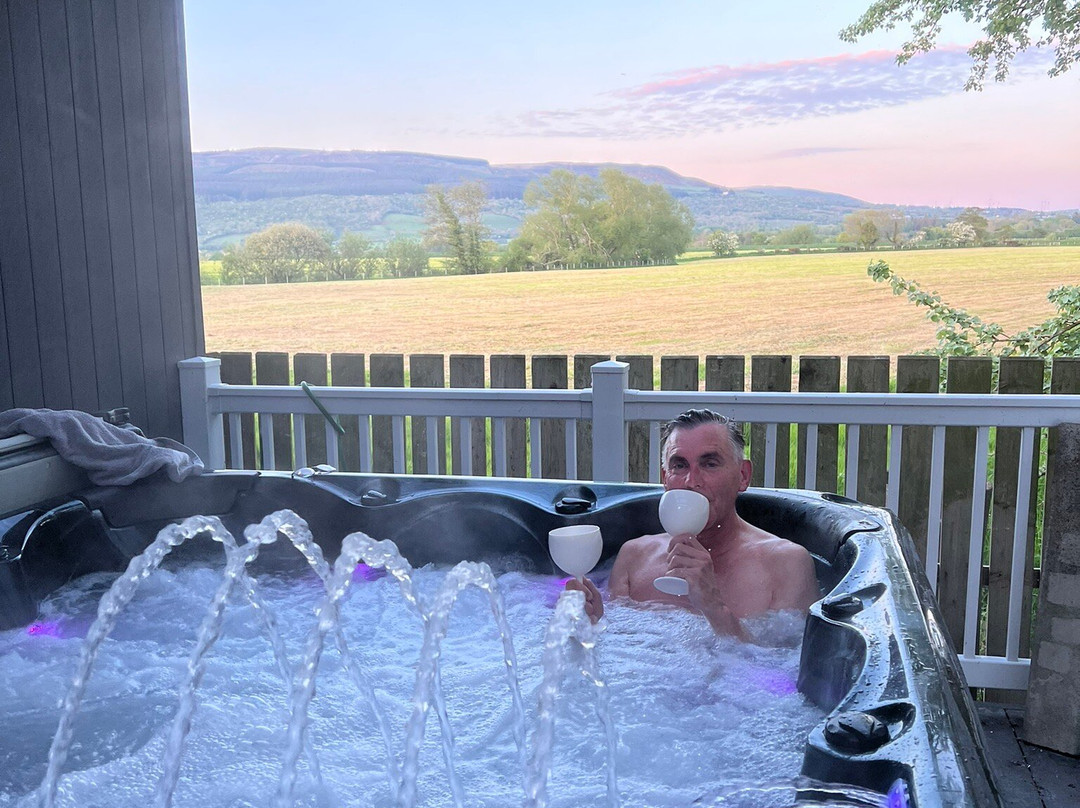 The Willows Self Catering Studios & Bed And Breakfast主图