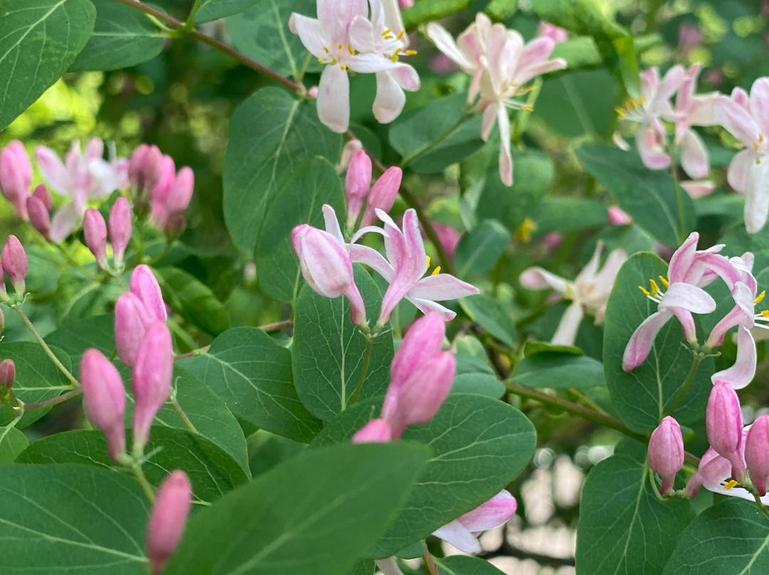 Central Park of Culture and Recreation-Ryazan必去景点