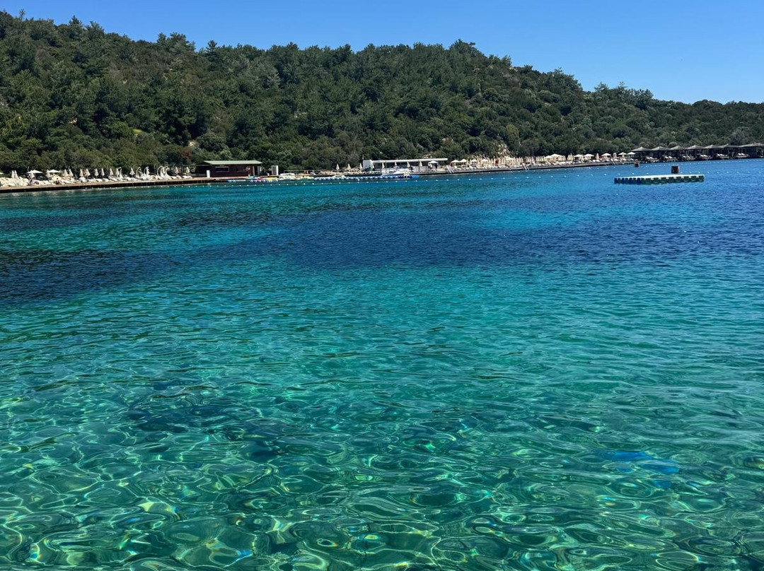 Bodrum Park Resort主图