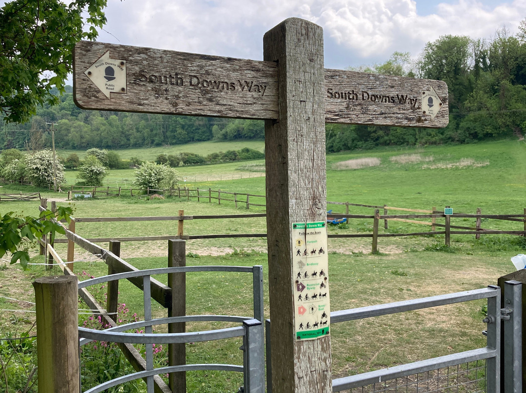Abingworth Hall主图