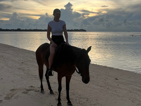 Gili Meno Stable Horse Riding Adventures