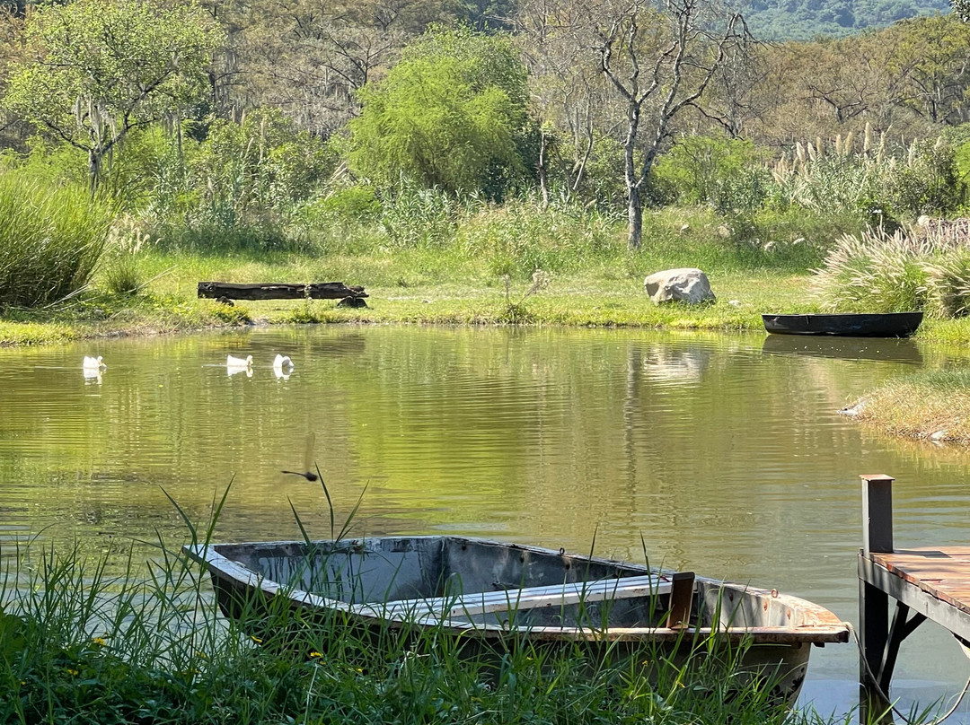 Viñedo Garza Moschen-Allende必去景点