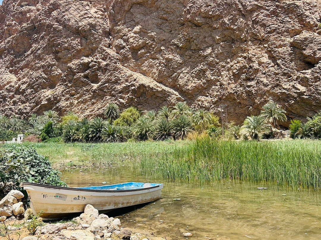 Muscat Nature Tours - Day Tours景点图片