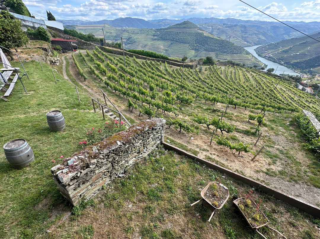 D'Origem-Casal de Loivos必去景点