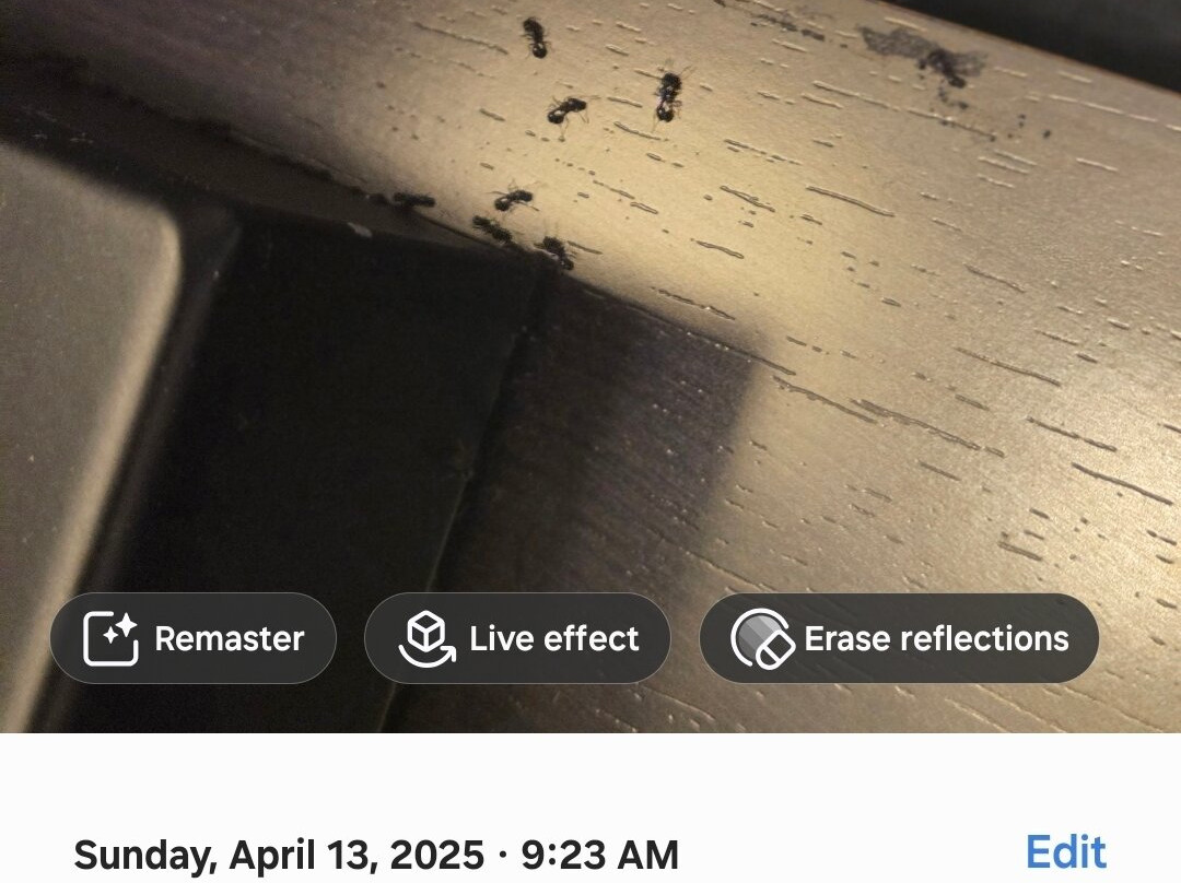 Lakeside Resort and Conference Center主图