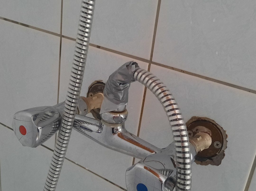 Les Merlettes & Le Merle Moqueur