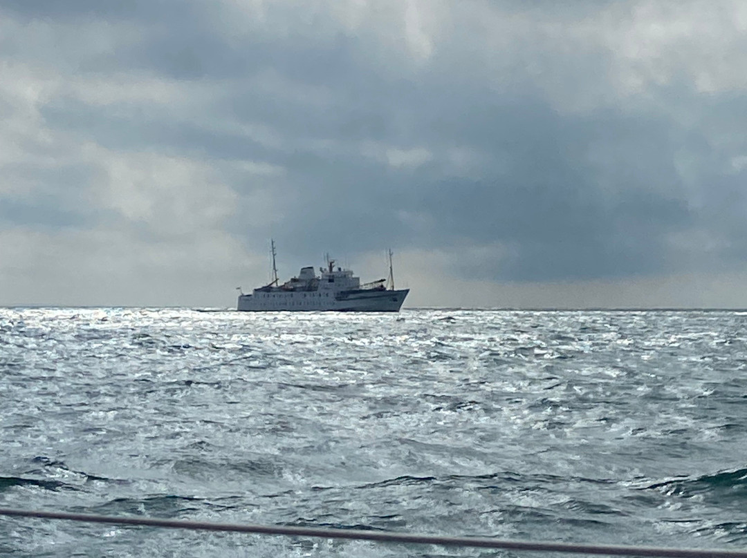 Devon Sailing Experiences-普利茅斯必去景点