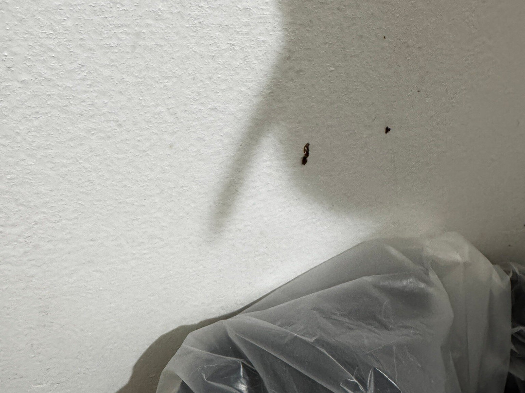 Best Western Logan Inn主图