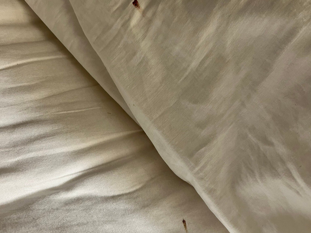 Best Western Capital Beltway Washington Dc主图