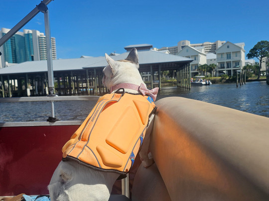 Hudson Marina-橙色海湾必去景点