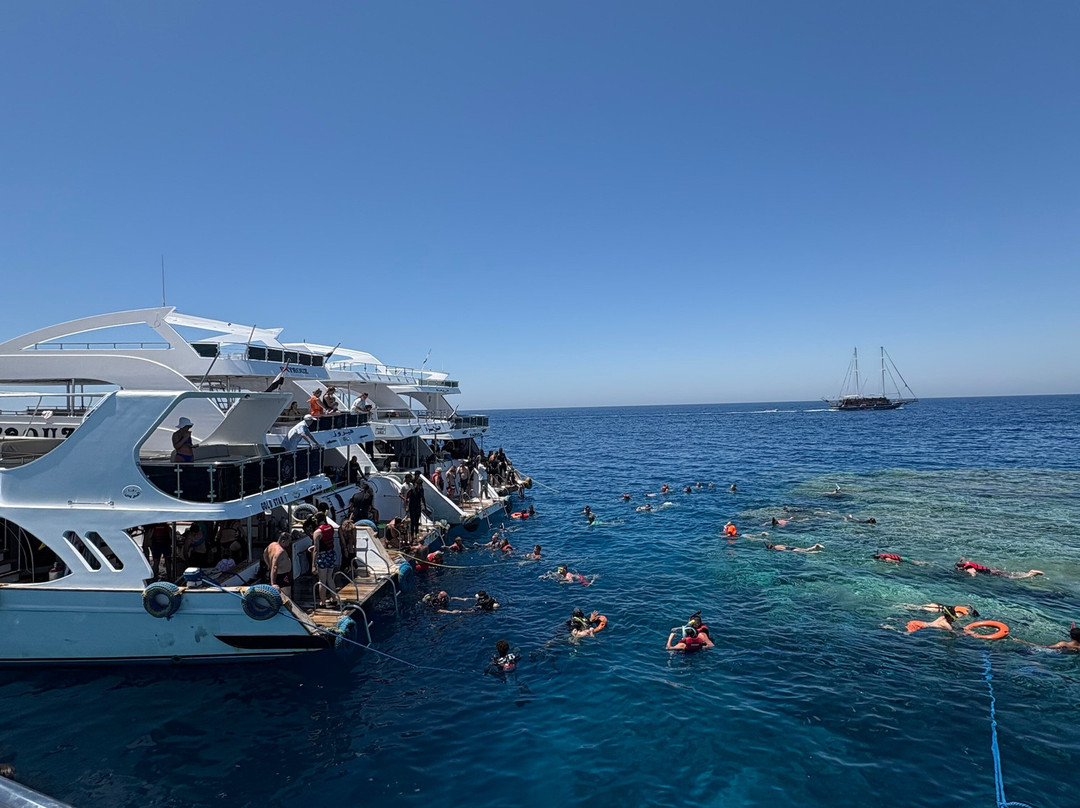 Blue Planet Diving Center景点图片