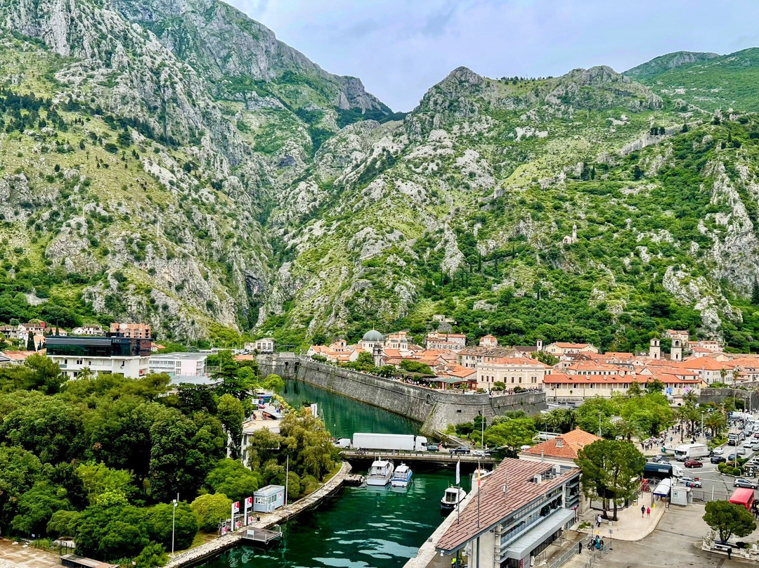 Kotor Tour Guide景点图片