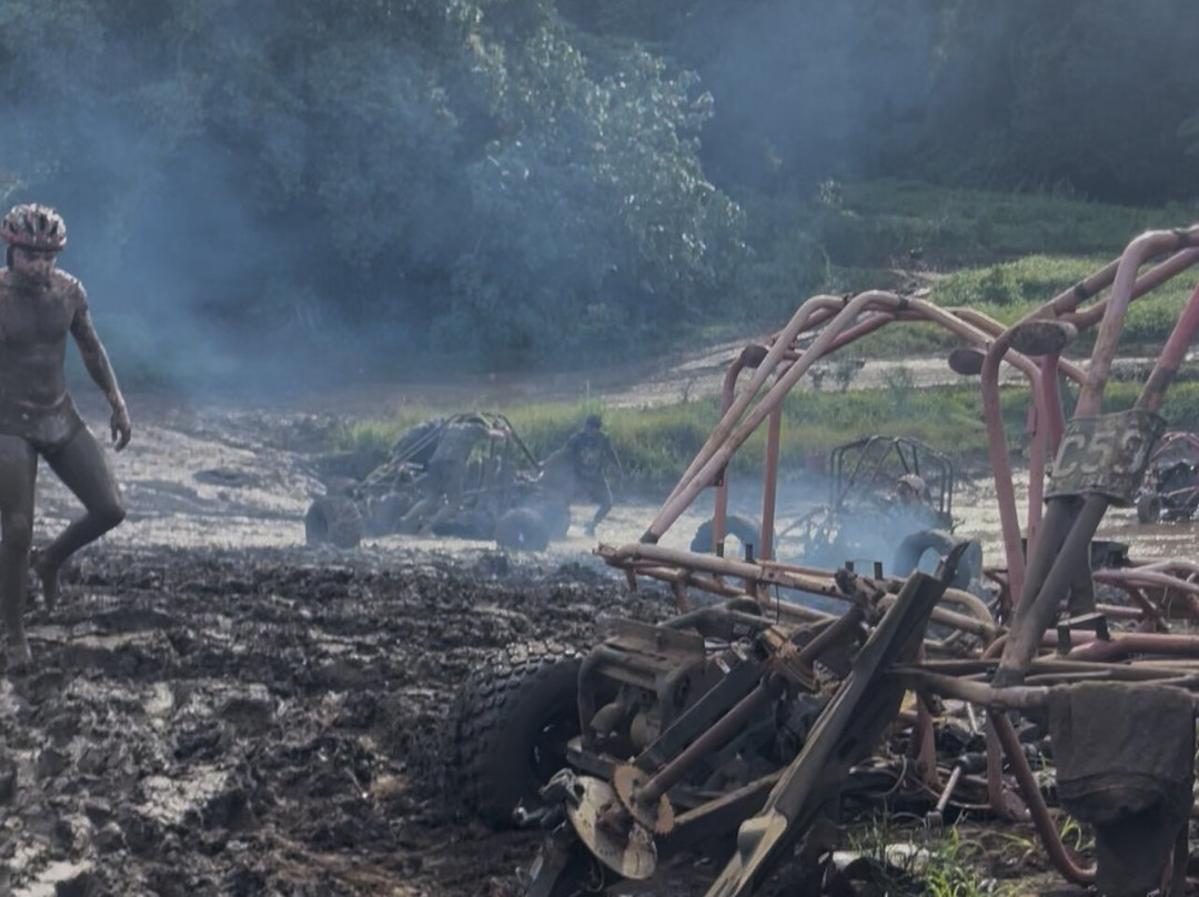 Raro Buggy Tours景点图片