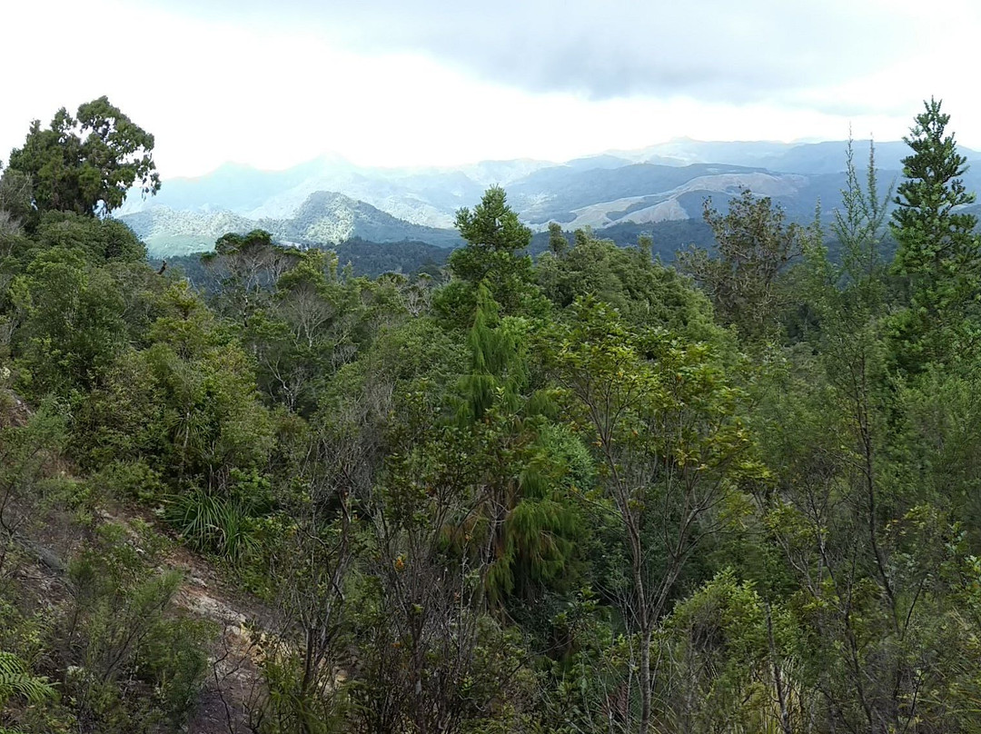Karaka Waiotahi track景点图片
