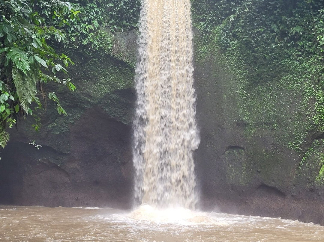 Bali Sunrise Tour-金塔马尼必去景点