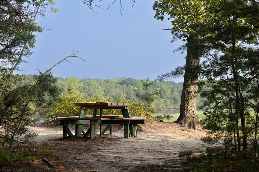 Maurice River Bluffs  Nature Preserve景点图片