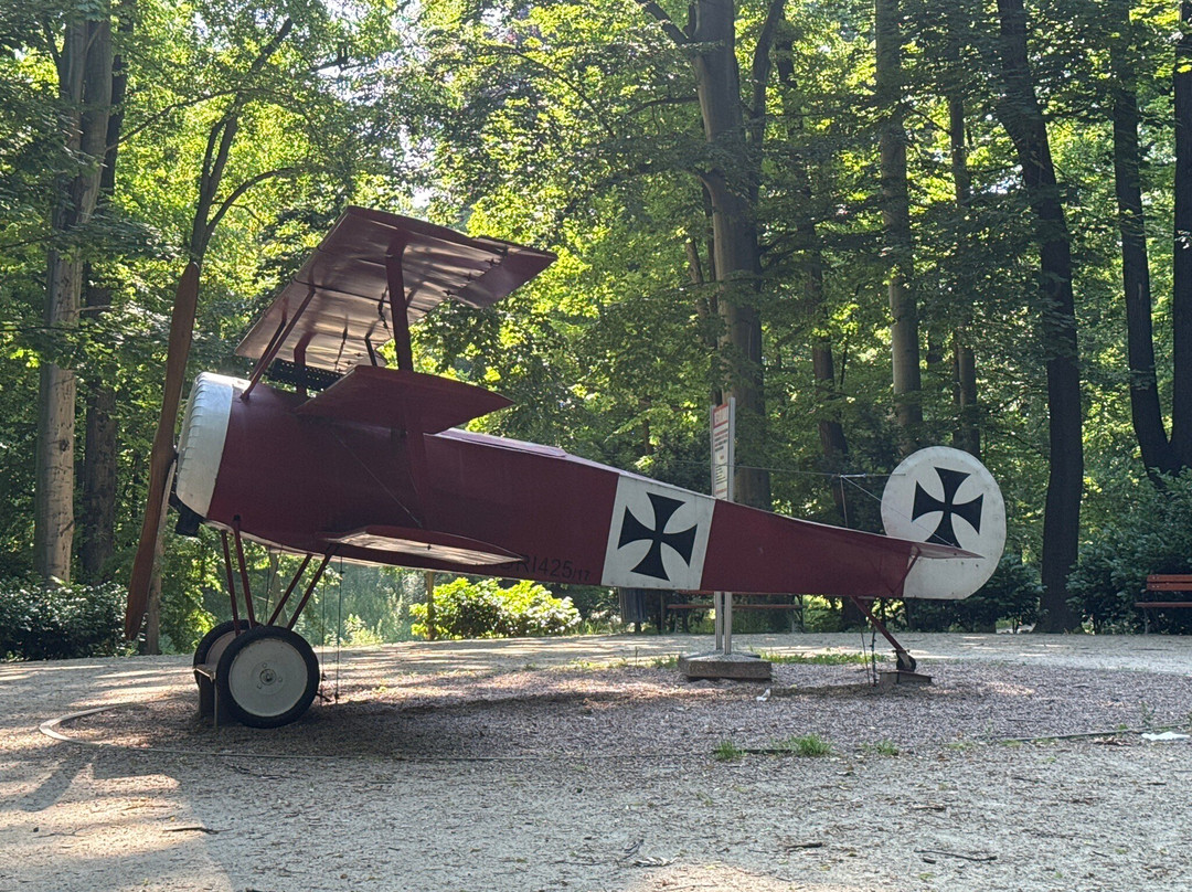 Fokker Dr. I - replika samolotu Czerwonego Barona-Swidnica必去景点
