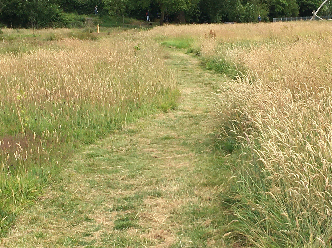 Radipole Park and Gardens-韦茅斯必去景点