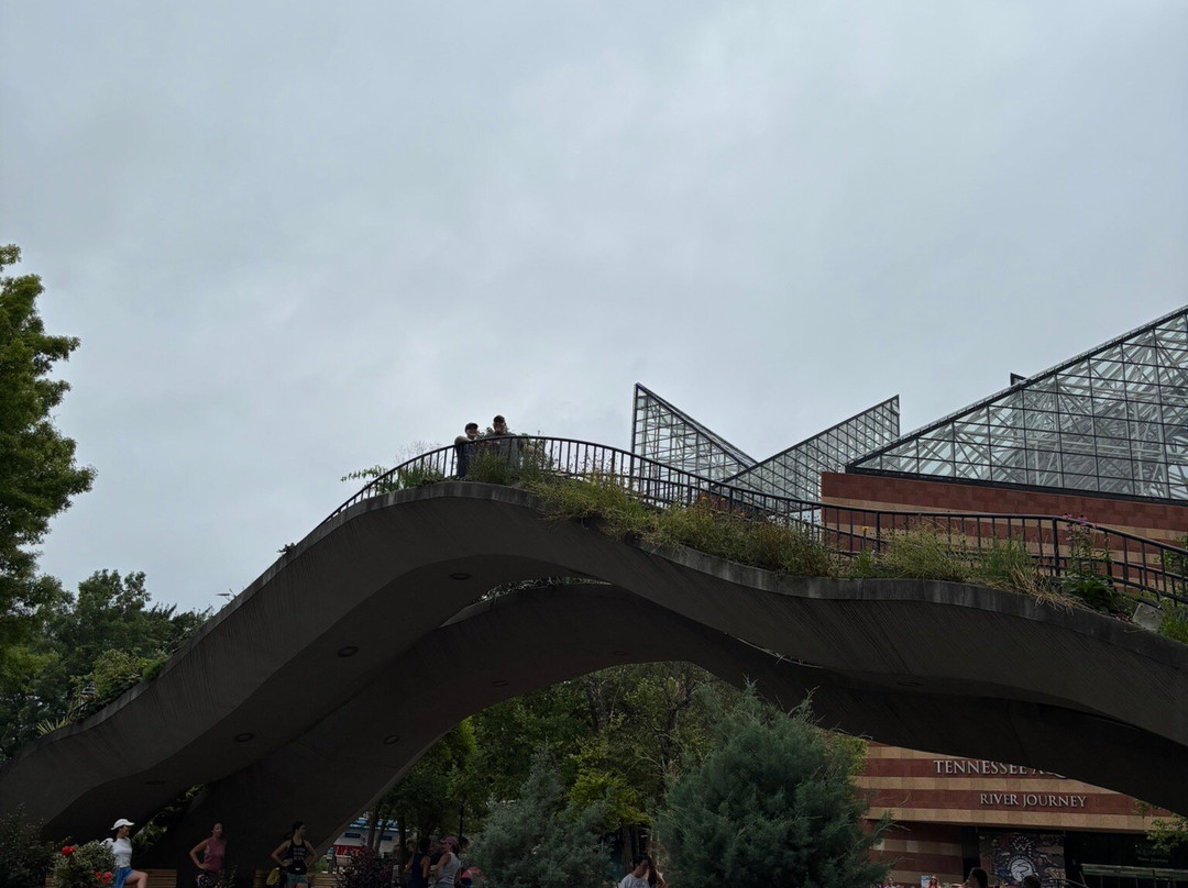 Chattanooga Visitors Information Center-查塔努加必去景点