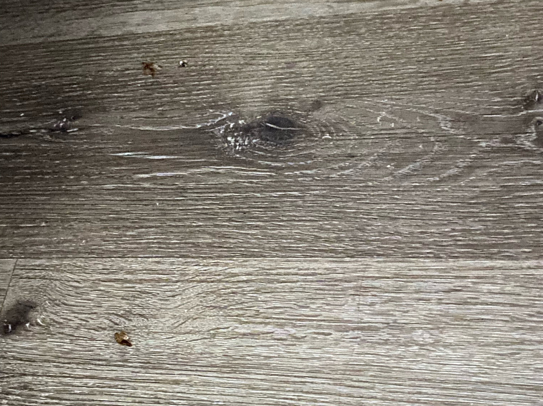 Quality Inn & Suites Statesboro主图