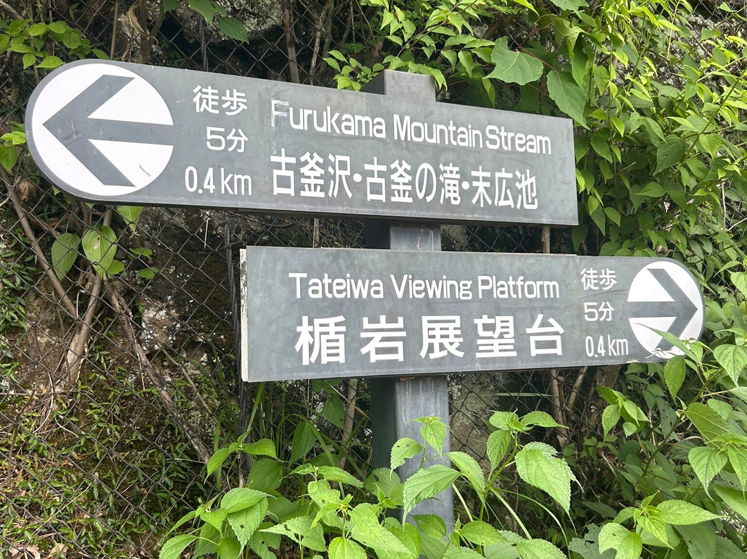 Kinu Tateiwa Otsuribashi (Suspension bridge)-日光市必去景点