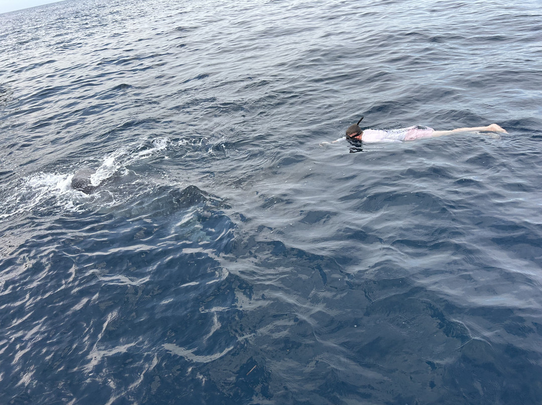 Lombok Arfa Tour-马塔兰必去景点