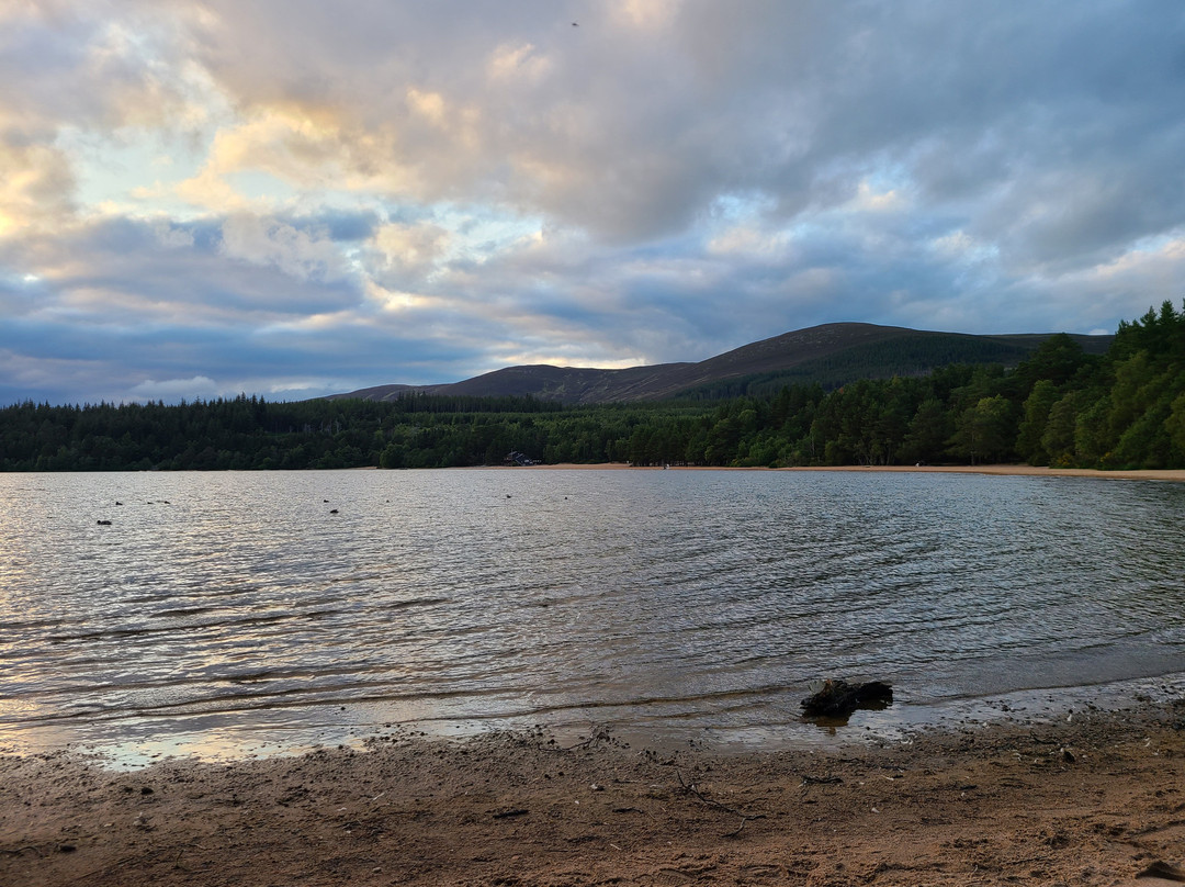 Loch Morlich-阿维莫尔必去景点