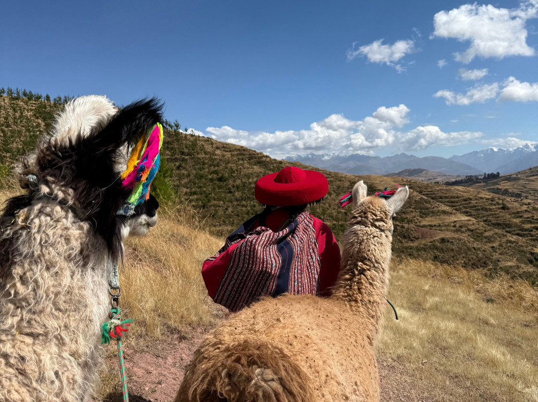 Alpaca Trek Adventures-Chinchero必去景点